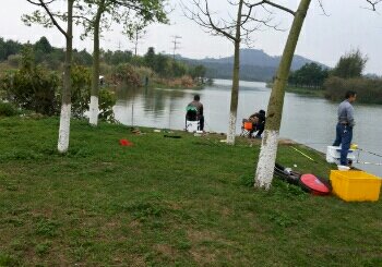 鹤之洲湿地公园