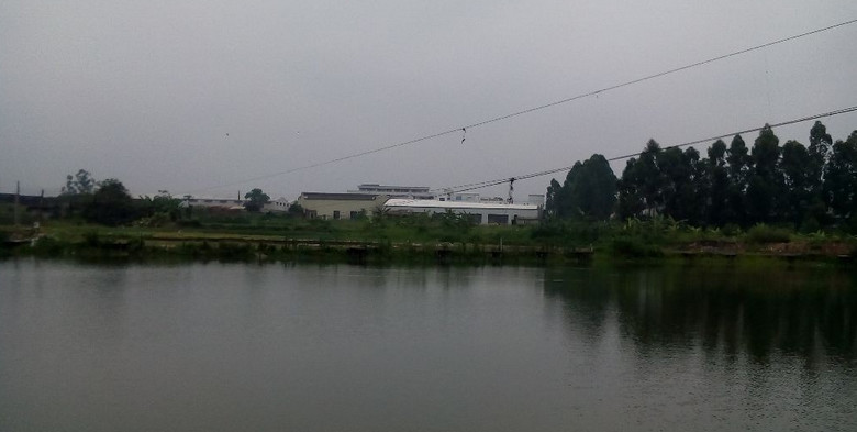 兄弟农场钓鱼场