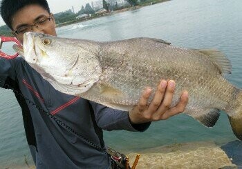 大王锋海钓基地