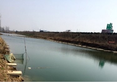 鱼跃大棚垂钓园