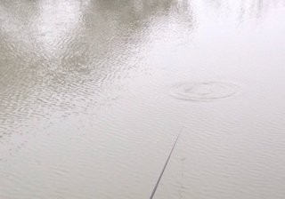 鱼家湾生态农庄