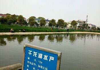 千龙湖垂钓园