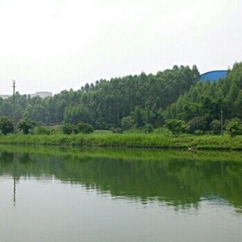 古月山庄垂钓休闲中心