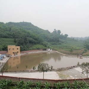 老战友生态鱼垂钓中心