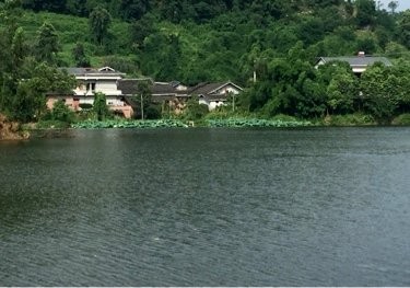 璧山石河乐撸路亚基地