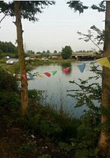 成新蒲新义钓场