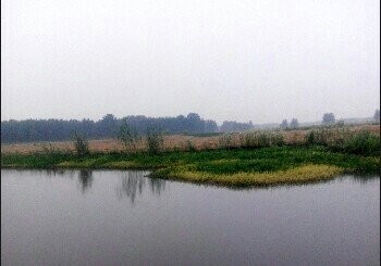 总铺窑厂挖掘塘