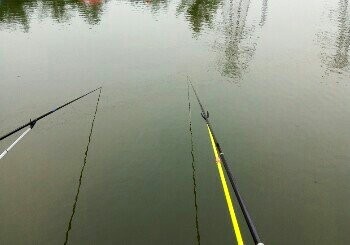 倪娃娃农庄无花果采摘垂钓园