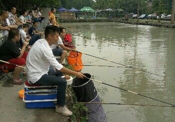 王家寨子有奖欢乐塘