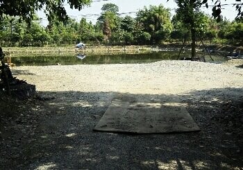 聚茗苑休闲渔庄