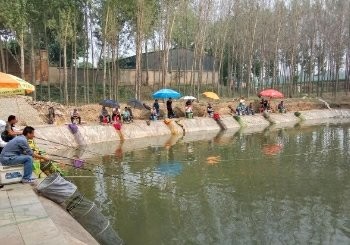 东马绿茵垂钓园