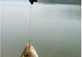 大清河袁家园村南段