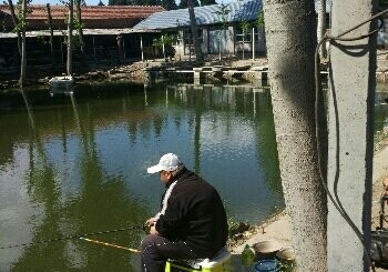 老太太垂钓园