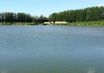 友谊大桥北沙坑