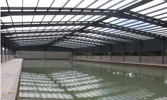 绿茵大棚室内垂钓