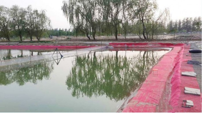 联庄望江垂钓园