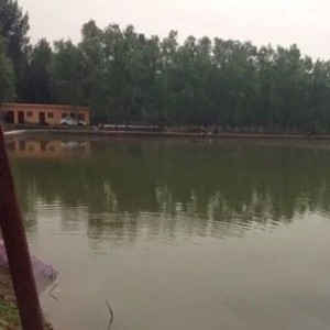 七彩假日垂钓园