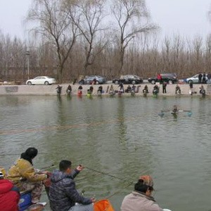 大地红番薯垂钓