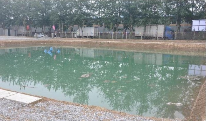 鼎盛众信垂钓园