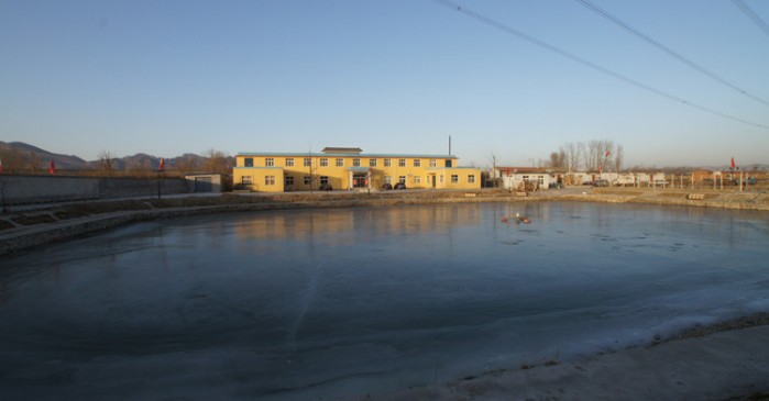 鑫城缘果品专业合作社