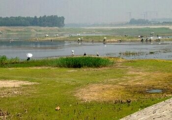 潮白河于辛庄段