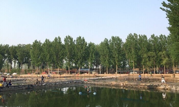 西集万信养殖场