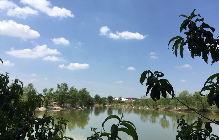 第五季龙水凤港