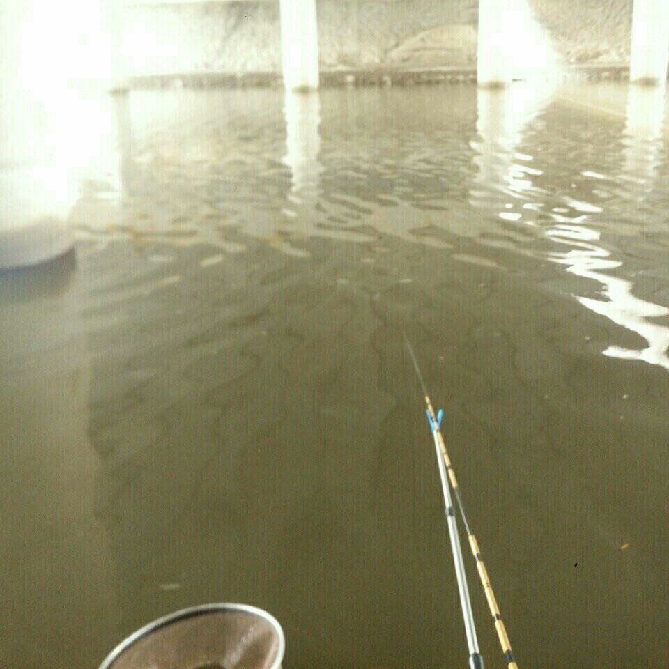 双福港高速桥下