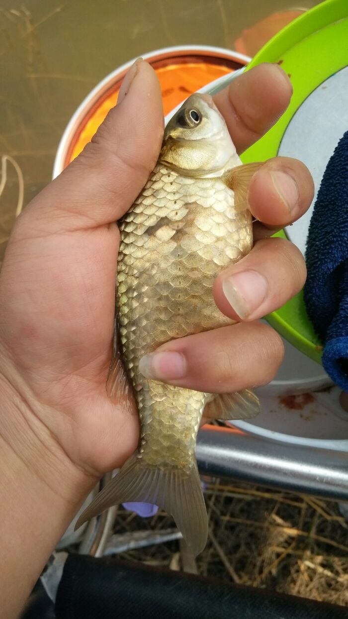 黄沙水库