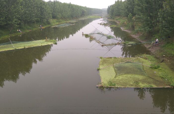 王楼桥野钓片区