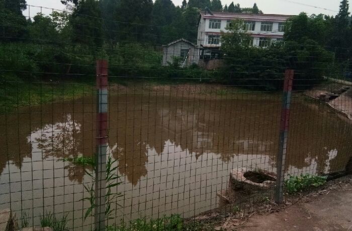 清泉村青岗湾鱼塘
