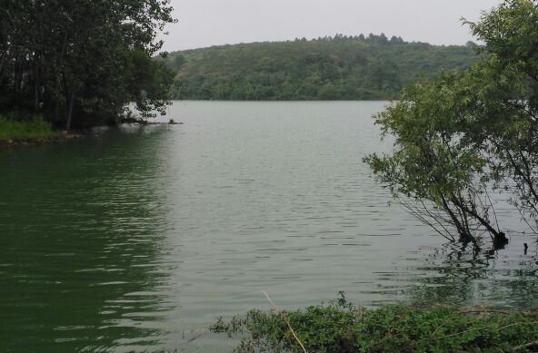 大银山林场后面