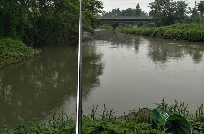 丽阳村和青白江交界处