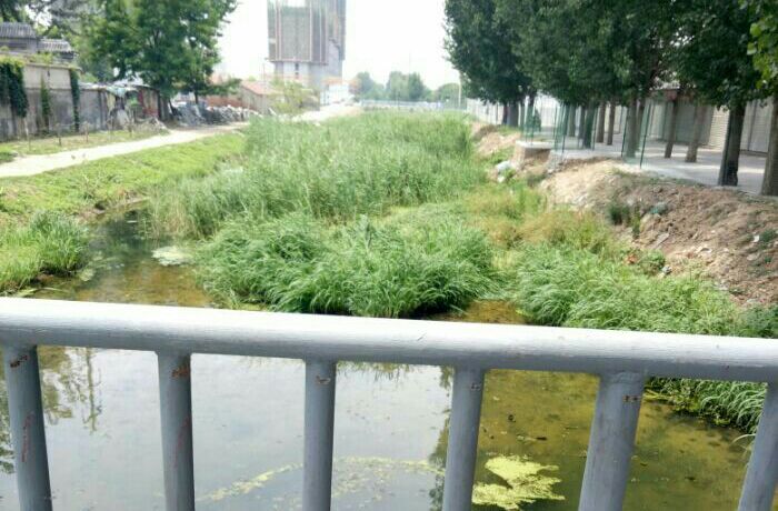 太平河东宇花园段