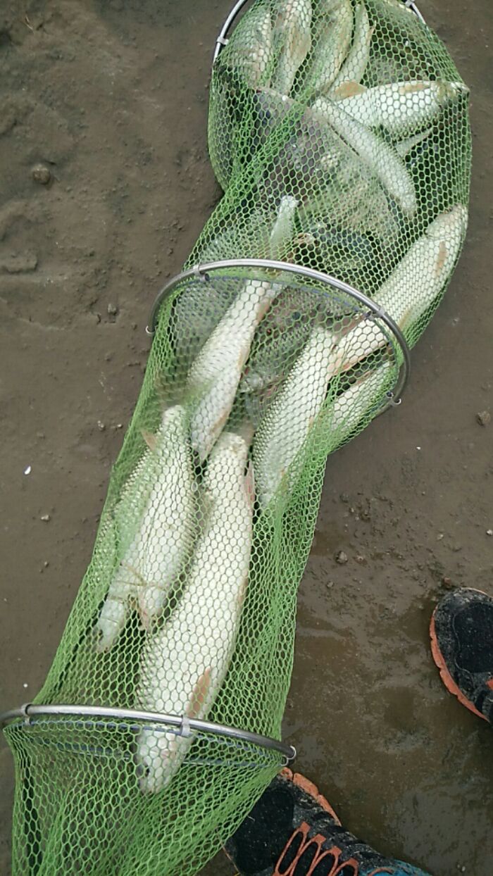 大石水道S39东新高速桥下