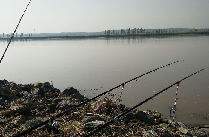 黄河通贵段防洪堤