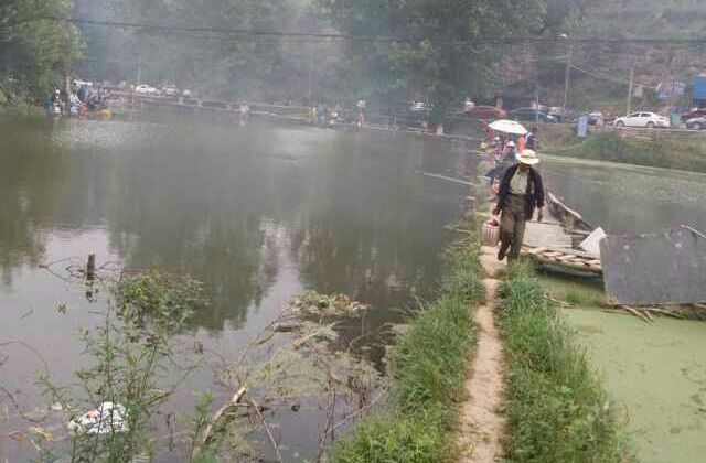 小坝镇中屯街鱼塘