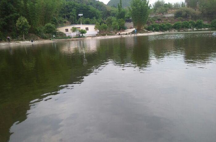 周家营娃娃鱼养殖基地