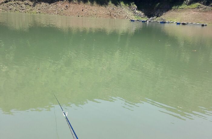 资兴东坪大水口库区