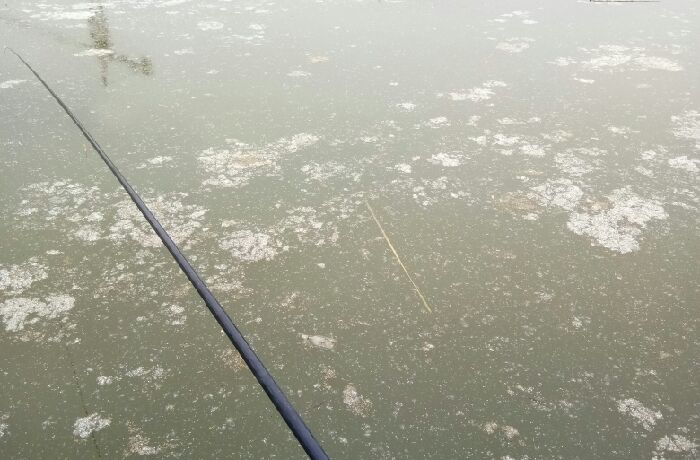 雨停社区护城河