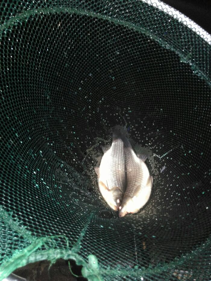 锦到乐休闲中心