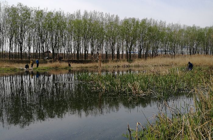 平度侯家站泽河