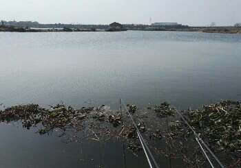 李志洪家庭农场