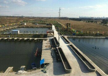 金龙国际垂钓中心