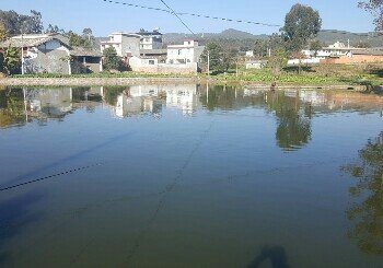 龙潭坝鱼塘