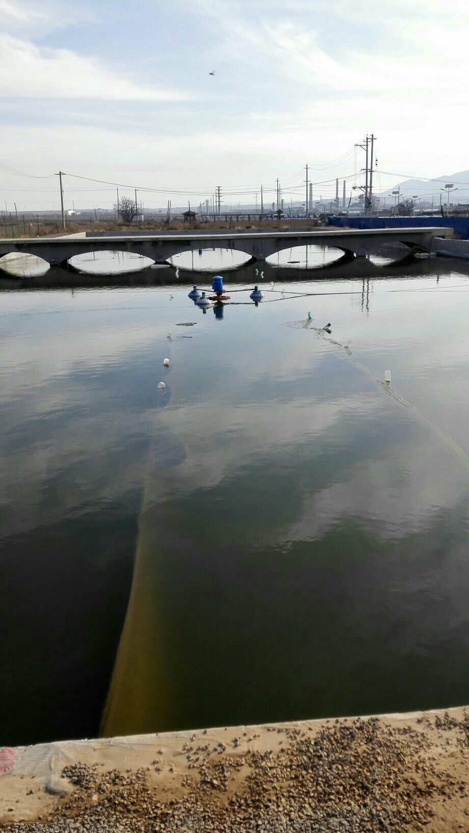 万荣生态园垂钓园