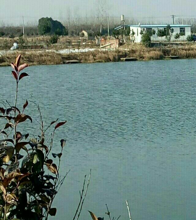 王巷兄弟垂钓中心