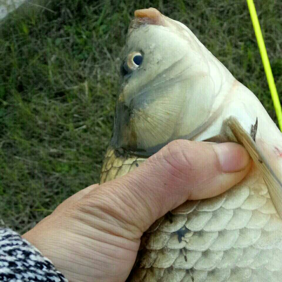 牧渔人垂钓俱乐部