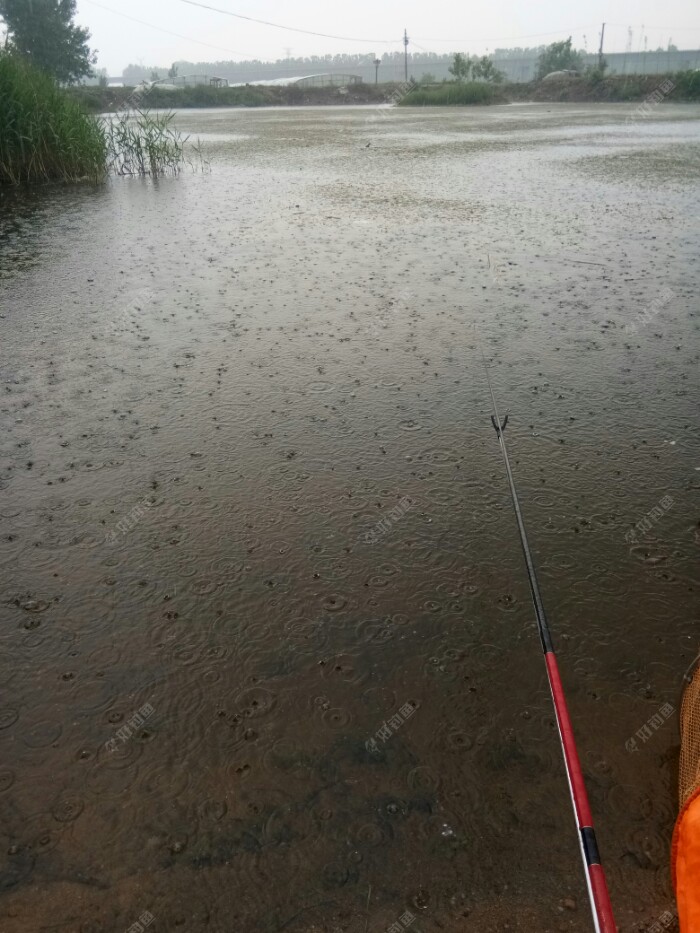 雨过后不到一小時又開始下雨了。