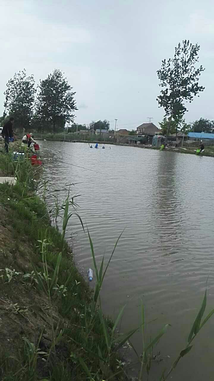 滨海界牌陆集条堆休闲坑塘